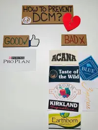 4F21C722-8C8F-494D-AA3E-BBB7AEB816F7.webp