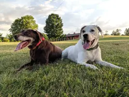 MVIMG_20190715_202721.webp