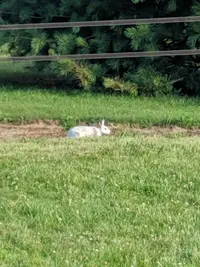 IMG_20190715_193250.webp