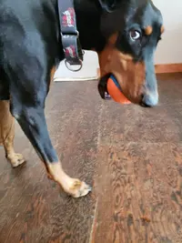 20190726_151656.webp