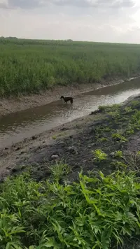 20190708_180915_1562630426577.webp