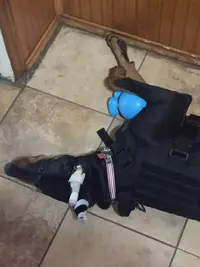4FAB1DBC-BEC9-4CCB-8415-09E445EC6BFE.webp