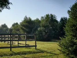 20190807_074156.webp