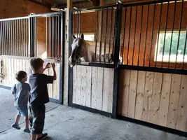 20190731_073344.webp