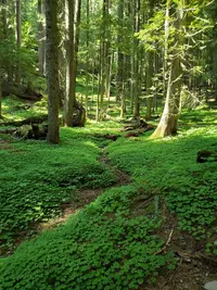 20190630_153841.webp