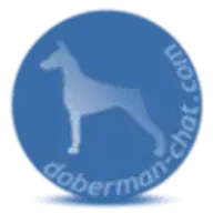 XFAdmin