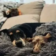 IslandDobeMix