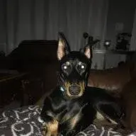 Sadie414