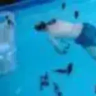 Beerswimmer
