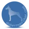 XFAdmin
