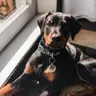 Kaïa