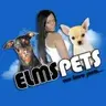 Kirsty Elms