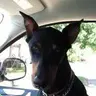 Lulu