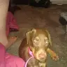 Zeus&Metis