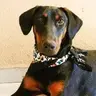 Suri&Simon