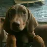 Ares_and_Athena