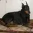 Big Max