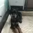 annemarie_73638
