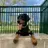 Dobie_Elle