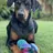 Dobemumoftwo