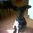 DoBe4ever