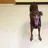 DeacontheDoberman