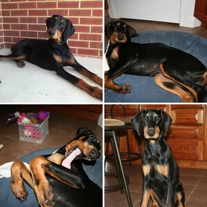 Izzy 5-7 Months