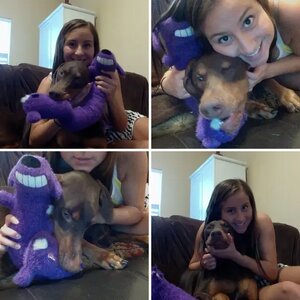 Harley!