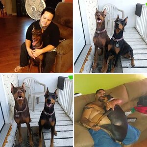 MIA and CHULA at 1 YEARS OLD