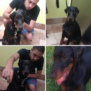 Ramirez von Marosk 9 weeks to 4 month