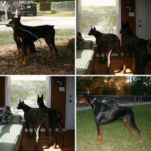 Jax One Year (almost)