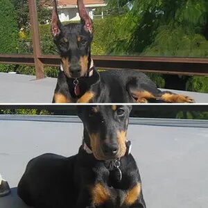Baby Maya