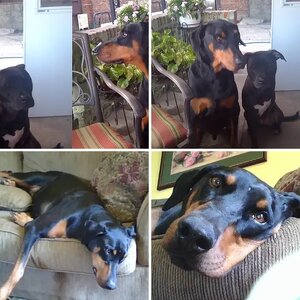 Samson