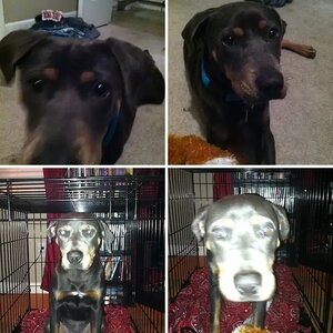Hera's first couple of weeks