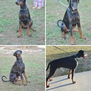 Ramirez 6 month old