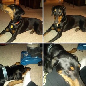 The Adventures of Dea Bella Cara