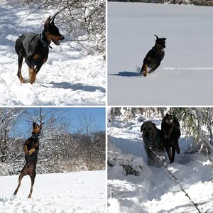 ROMEO