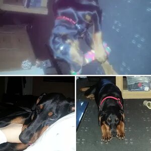 Texy getting all grown up!!