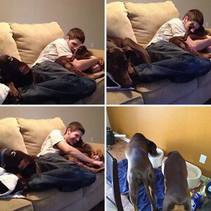 Foster Children