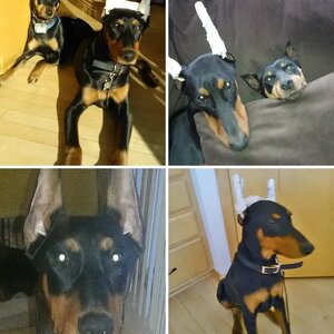 Jax March 2013