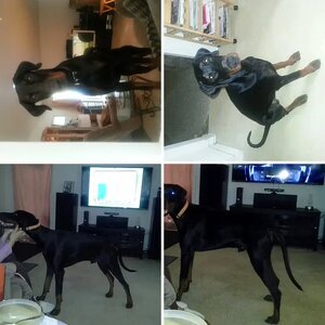 Ramirez 11 month
