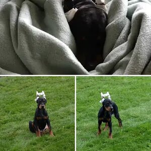 Klaus's first day home