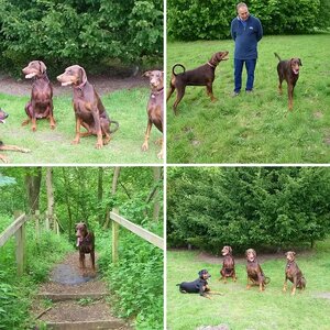 Zeus & Friends