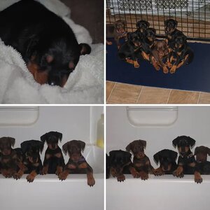 Keeping them clean-bathtime