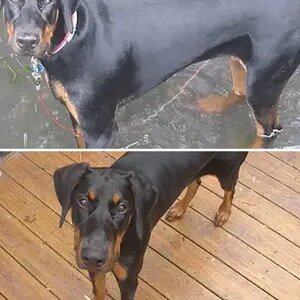 Otto 6 months