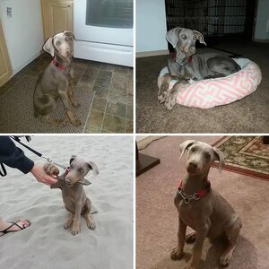 Isabel's baby pictures <3
