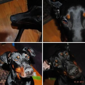 Proud Pippi Pics!