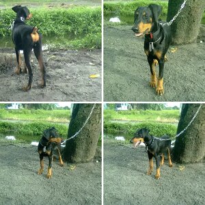 Tomy at 18 weeks .. :)