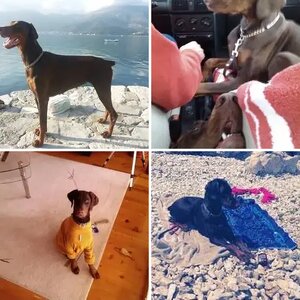 Profile Pictures