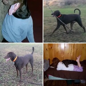 More Cooper